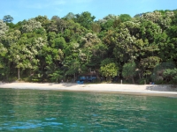 Green Banana Bar and Bungalows - Accommodation