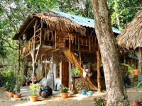 Om Tao Bungalow - Accommodation