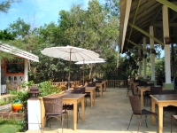 Payam Cottage Restaurant - Restaurants