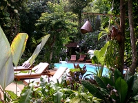 Ao Nang Tropical Resort - Accommodation