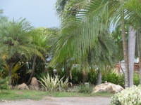 Beauty Beach Resort - Accommodation Beauty Beach Resort - Accommodation