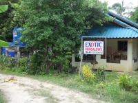 Exotic Bungalows - Accommodation