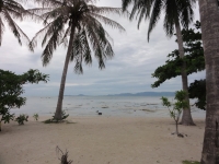 Oceanus Resort - Accommodation