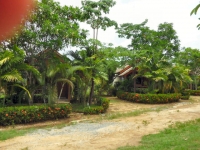 Khao Lak Mountain View Bungalow - Accommodation