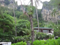 Centara Grand Beach Resort and Villas - Accommodation