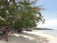 Weekender Villa Beach Resort - Accommodation