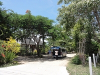 Rose Garden - Accommodation