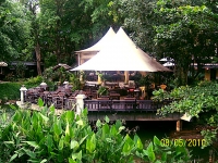 Moracea by Khao Lak Resort - Accommodation