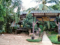 Khao Sok Rainforest Resort - Accommodation