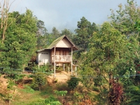 Khao Sok Jungle Hut - Accommodation