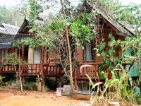 Khaosok Banana Hut - Accommodation