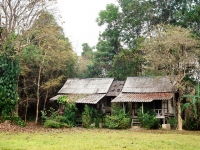 Khao Sok Nature Resort - Accommodation