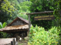 Songpreak Elephant Camp - Attractions