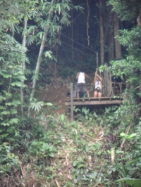 Rope Gliding - Attractions