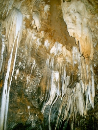 Khao Bin Cave - Attractions