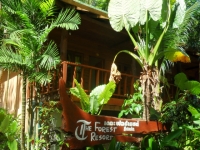 The Forest Resort - Accommodation The Forest Resort - Accommodation