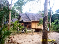 กระท่อมป่า - Accommodation