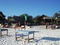 Monkey Restaurant - Restaurants