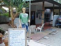 Lotus Dive - Services