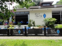 Blue Mango - Restaurants