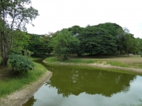 Chaam Forest Park - Attractions