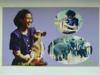 Huai Sai Wildlife Breeding and Extension Centre - Attractions