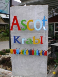 Ascot - Accommodation