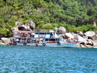 Dive Site Hin Wong Pinnacle - Attractions