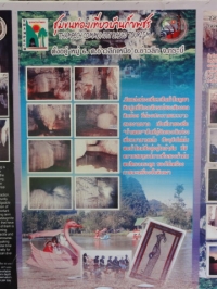 Tham Pech Community Based Tourism - Services