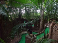 Khao Lak Mini Golf - Services