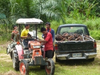 Yaowawit School and Lodge - Attractions