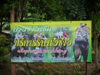 Bang Chang Chok - Services