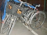 Bicycle for Rent - Services