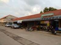 Diamond Coral Tour - Services