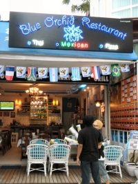 Blue Orchid Restaurant - Restaurants