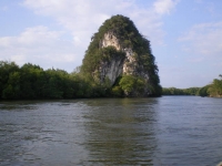 Krabi Mangroves - Attractions