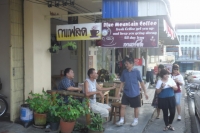 Blue Mountain Coffee - Restaurants