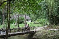 Ton Prai Waterfall - Attractions