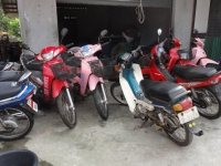 Andaman Seahorse Motorbike - Services