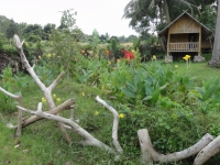 Chan Bungalows - Accommodation