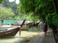 Longtail Boat Service - Services