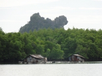 Mangroves in Phang Nga Bay - Attractions
