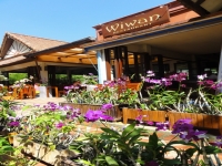 ร้านอาหารวิวัน และบีชบาร์ - Restaurants