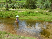 Kapong Hot Springs - Attractions