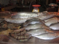 Saladan Seafood - Restaurants