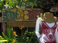 Rasta Baby - Services