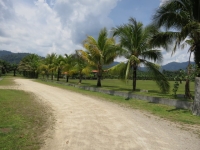 Khao Lak Mountain View - Accommodation