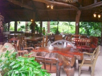 Jungle Restaurant - Restaurants