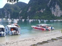 Phi Phi Island Cabana Hotel - Accommodation