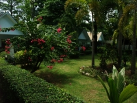Phi Phi Don Chukit Resort - Accommodation